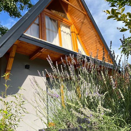 Petrovaradin Chalet Novi Sad Ngoại thất bức ảnh