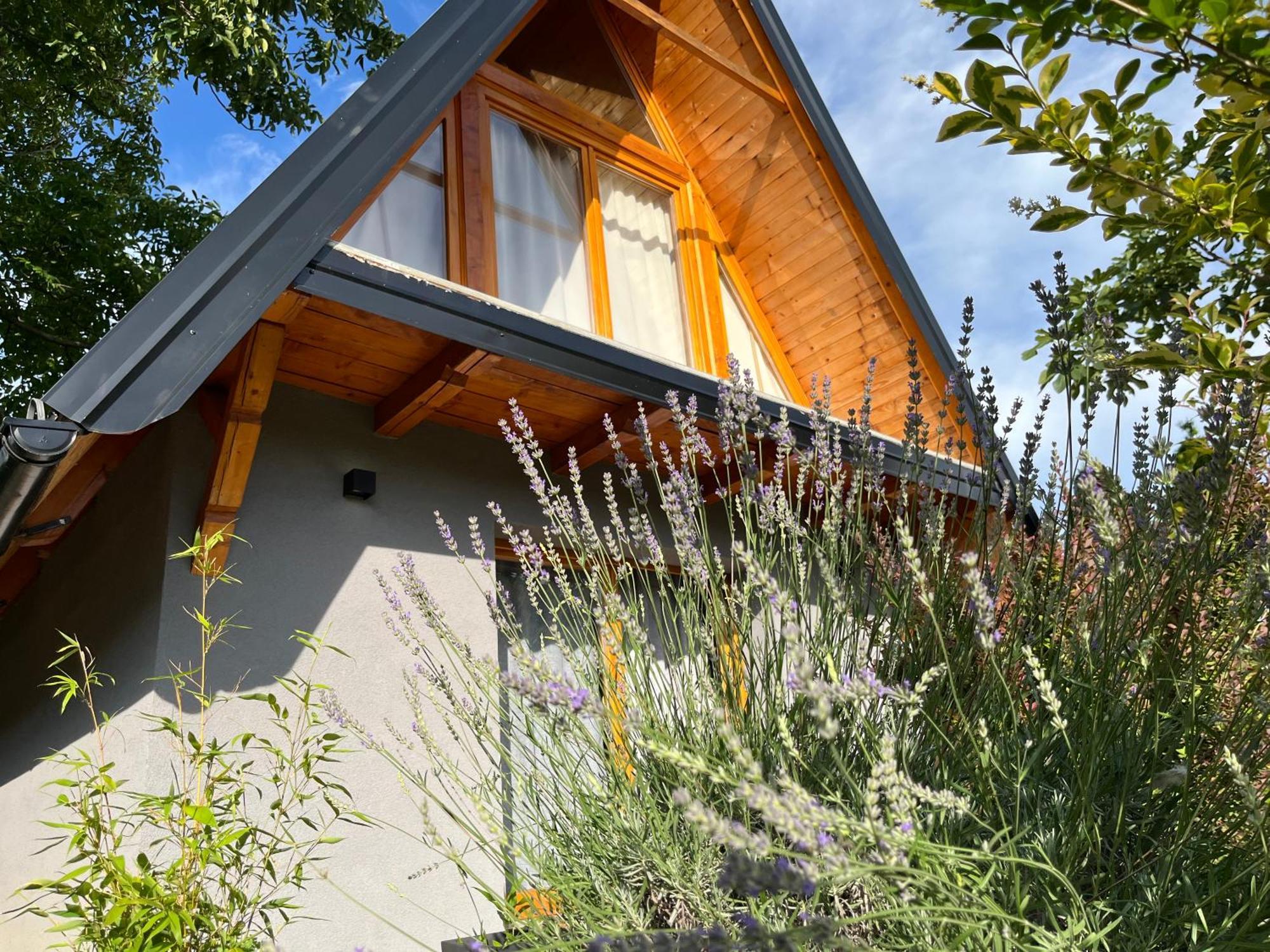 Petrovaradin Chalet Novi Sad Ngoại thất bức ảnh